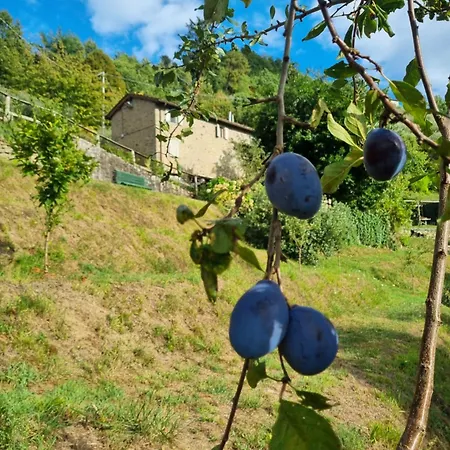 Apartment ' Ombra Del Lauro Vellano