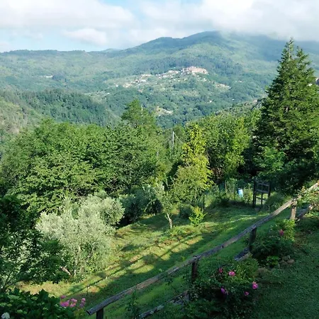 Apartment ' Ombra Del Lauro *