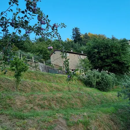 Apartament ' Ombra Del Lauro *