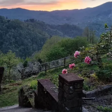 Apartment ' Ombra Del Lauro