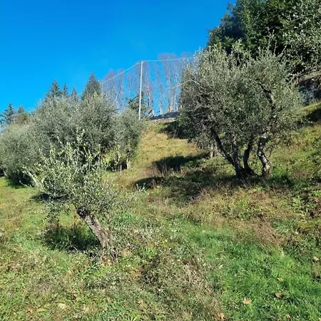Apartment ' Ombra Del Lauro *