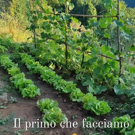 Apartament ' Ombra Del Lauro *
