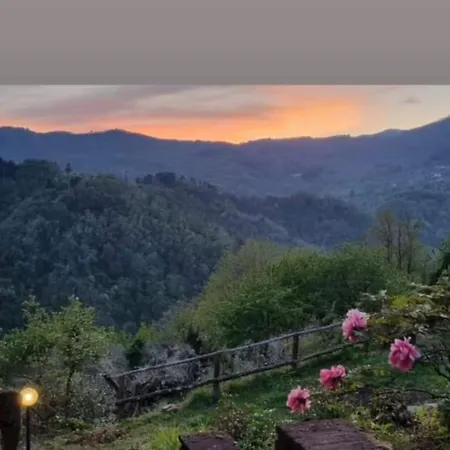 ' Ombra Del Lauro * Vellano