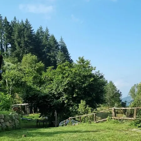 Apartment ' Ombra Del Lauro