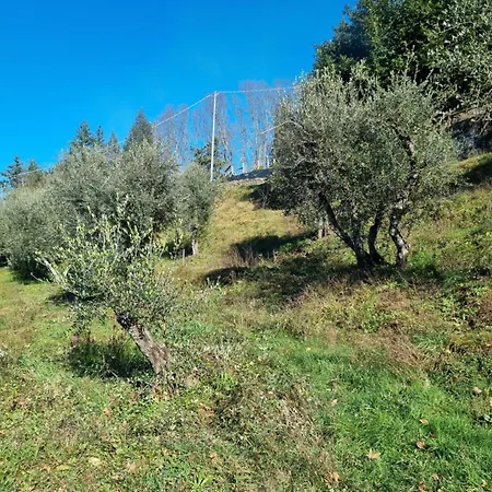 Apartment ' Ombra Del Lauro Vellano