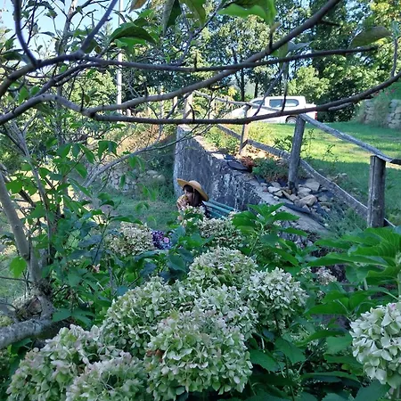 ' Ombra Del Lauro Apartment *